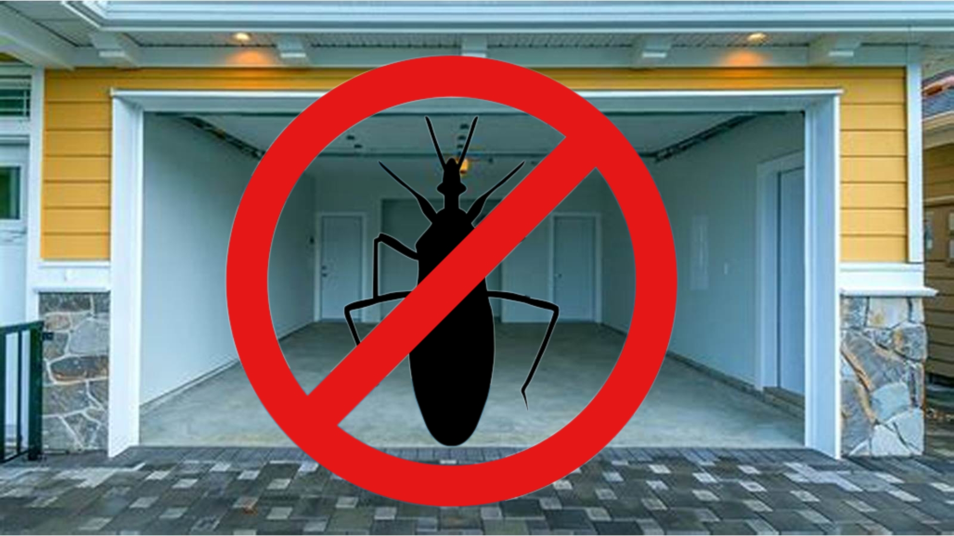 Keep unwanted insects out of your home's entryway with a garage door upkeep.