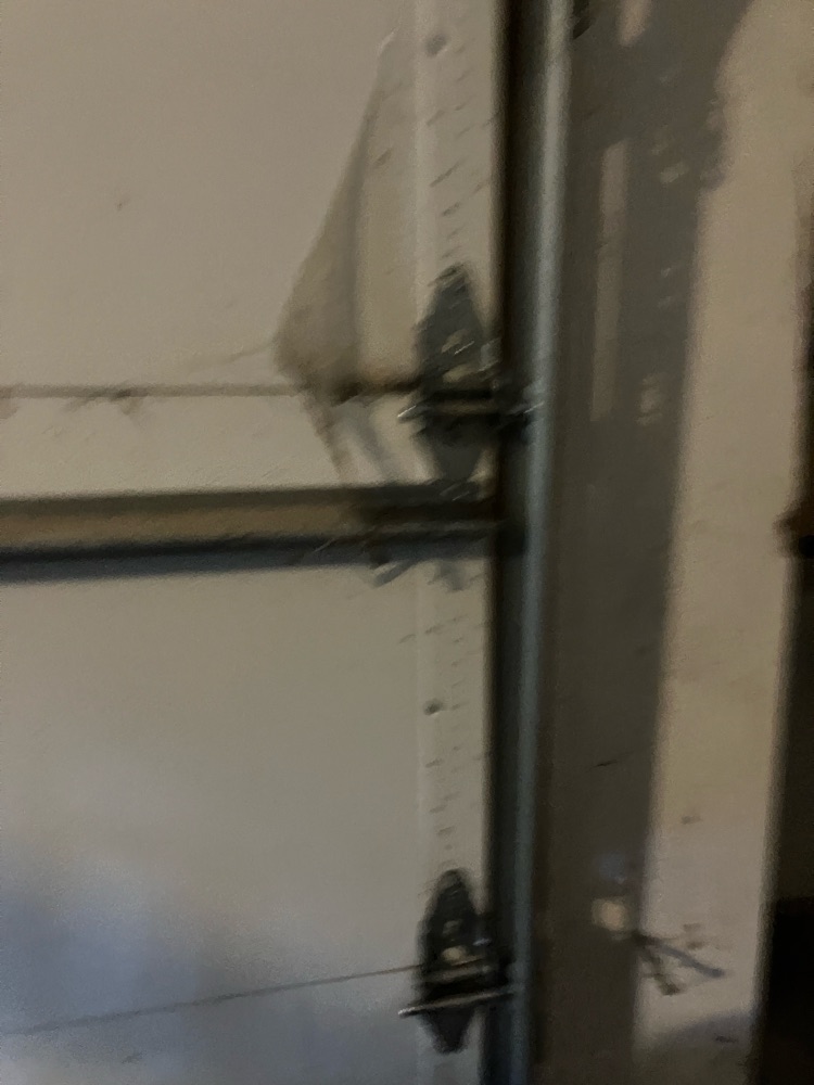 Project View 4