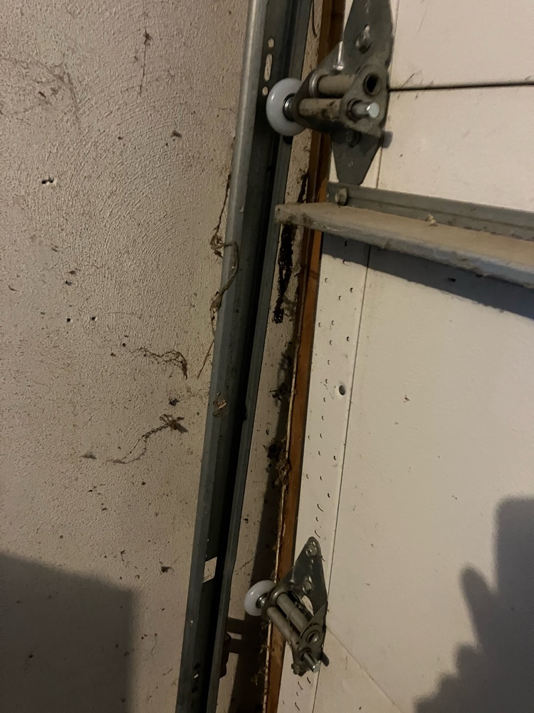 Project View 5