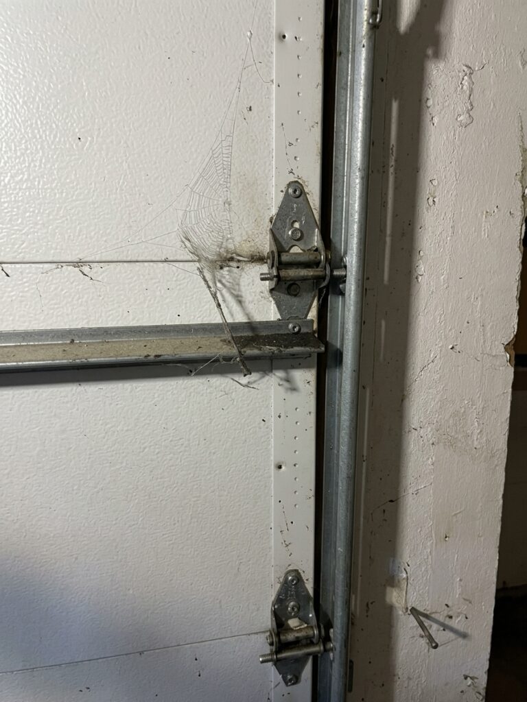 Project View 3